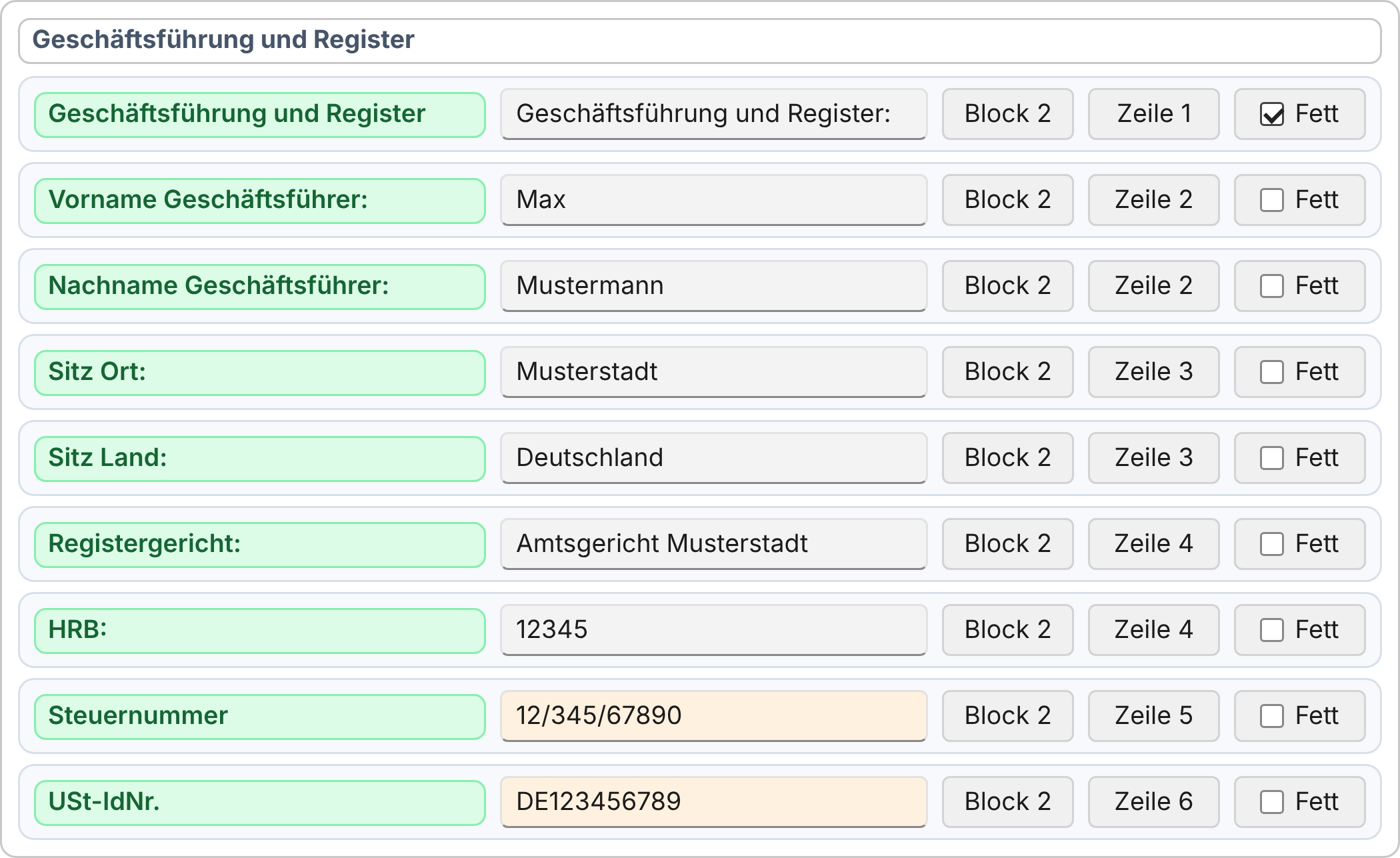 Fußzeilen-Daten, Gruppe Geschäftsführung und Register: je Feld Wert, Block, Zeile und Fett; Vor- und Nachname des Geschäftsführers in Block 2 Zeile 2, Registergericht und HRB gemeinsam in Zeile 4